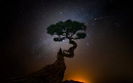 The Best Gear to Bring on Your Night Hike and Stargazing Trip